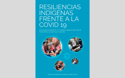 Resiliencias indígenas frente a la Covid 19. Una perspectiva desde las comunidades indígenas del Norte de Potosí – Bolivia y las del Cauca – Colombia